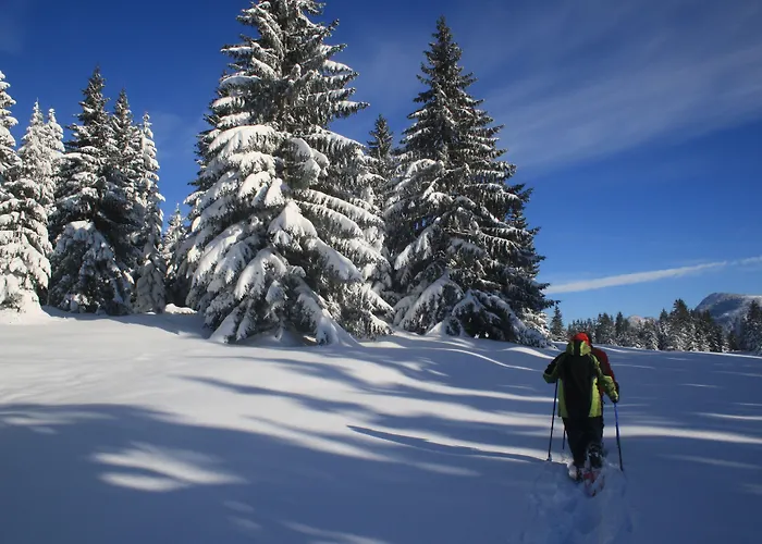 Panoramahotel Oberjoch Szálloda 4*